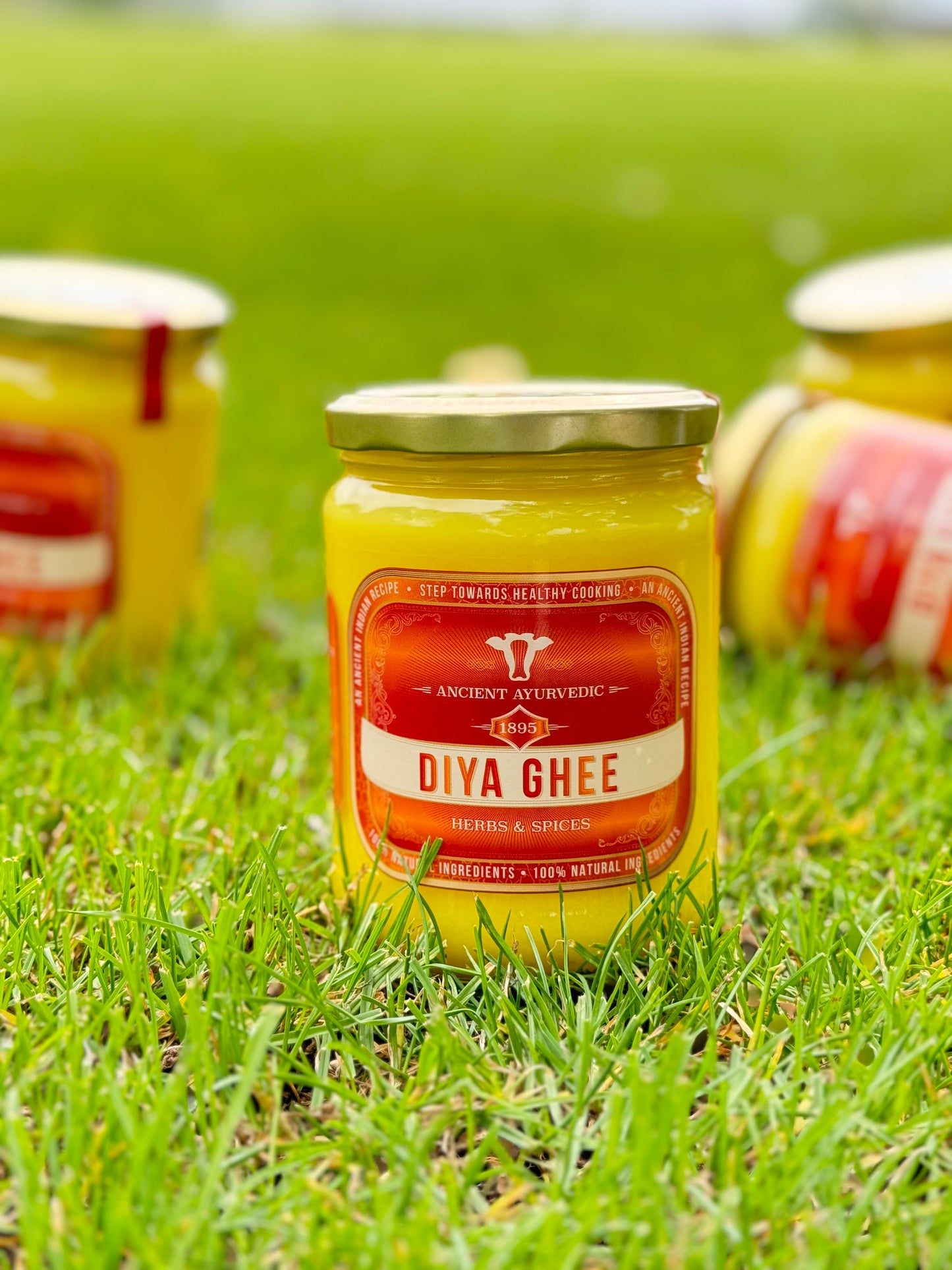 Herbs & Spice Ghee Jar - 500 ml