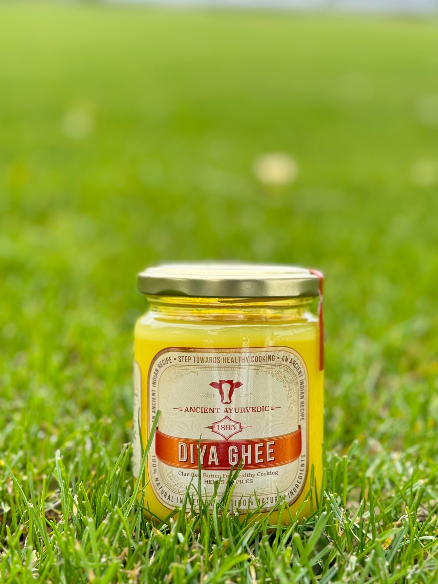 Herbs & Spice Ghee Jar - Pack of 8